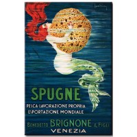 Sponges