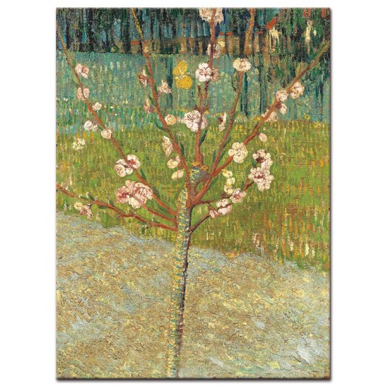 Peach Tree in Blossom