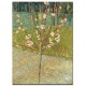 Peach Tree in Blossom