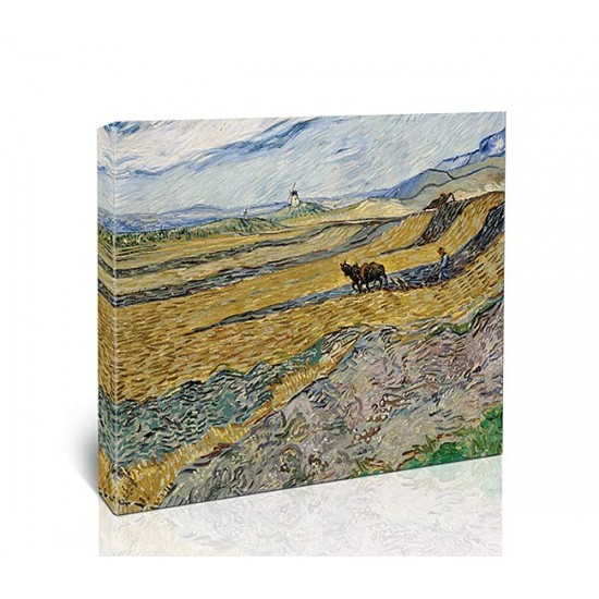 Enclosed Field with Ploughman, 1889