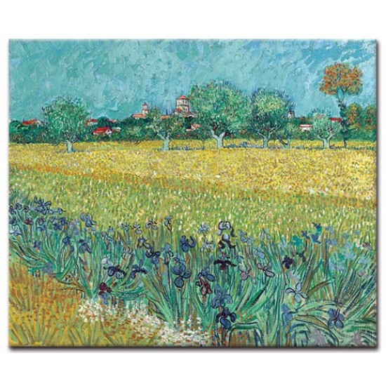 פרחים בשדה ליד ארלס - Vincent van Gogh