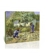 צעדים ראשונים
