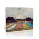 ערוגות פרחים בהולנד - Vincent van Gogh