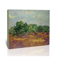מטע זיתים, שמיים כחולים חיוורים