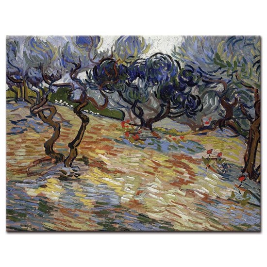 עצי זית - Vincent van Gogh