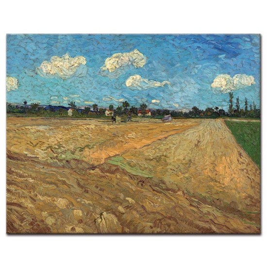 תלמים (שדות חרושים) - Vincent van Gogh