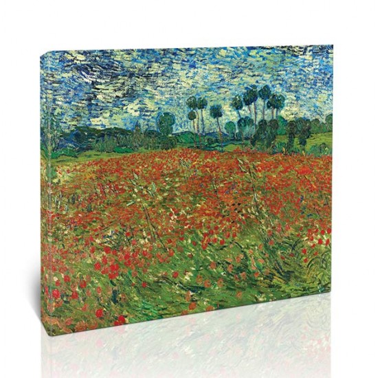 שדה פרג - Vincent van Gogh