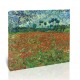 שדה פרג - Vincent van Gogh
