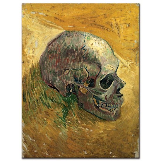 גולגולת - Vincent van Gogh