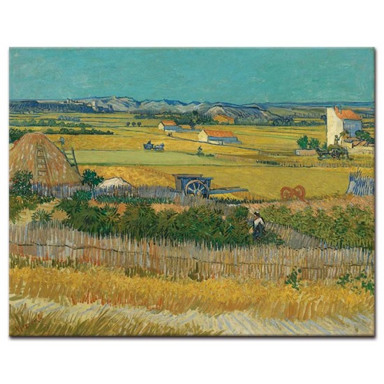 הקציר - Vincent van Gogh