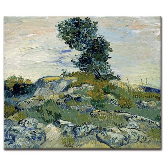 הסלעים - Vincent van Gogh