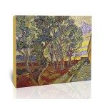 הגינה בבית החולים סיינט-פול