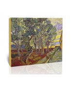 הגינה בבית החולים סיינט-פול