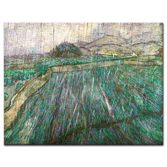 שדה חיטה בגשם - Vincent van Gogh