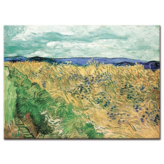 שדה חיטה עם חמניות - Vincent van Gogh