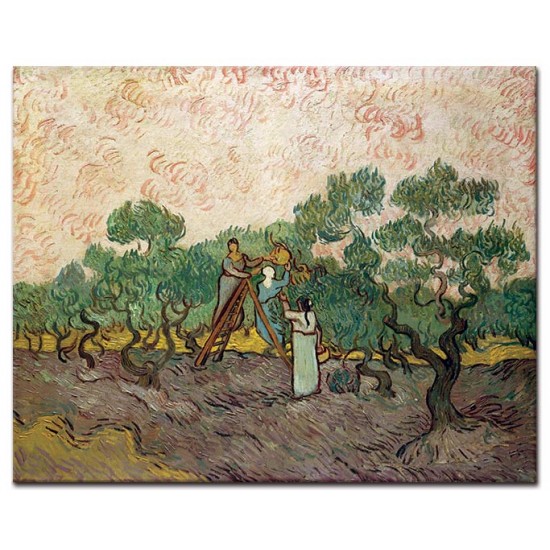 נשים קוטפות זיתים - Vincent van Gogh