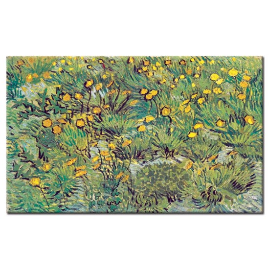 שן הארי - Vincent van Gogh